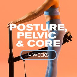 Db method pelvic floor exercises deals
